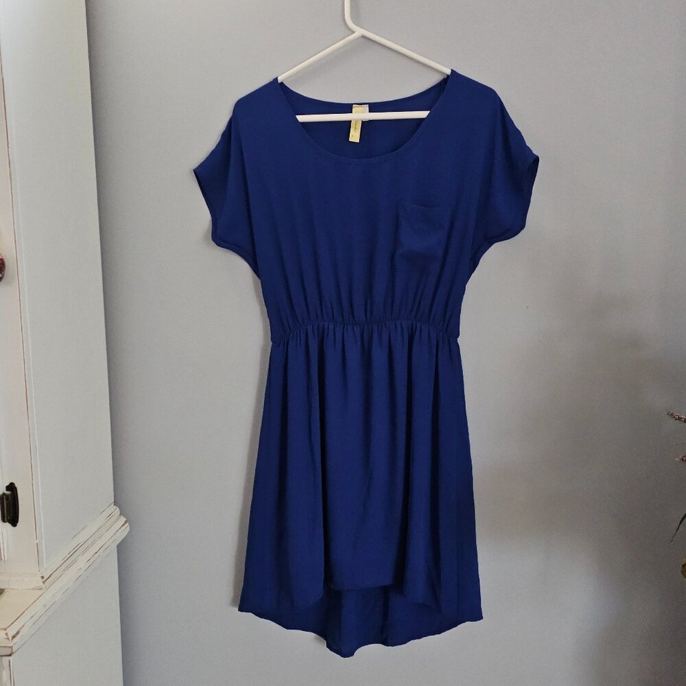 Bee Stitched Royal Blue Dress with Sheer Overlay